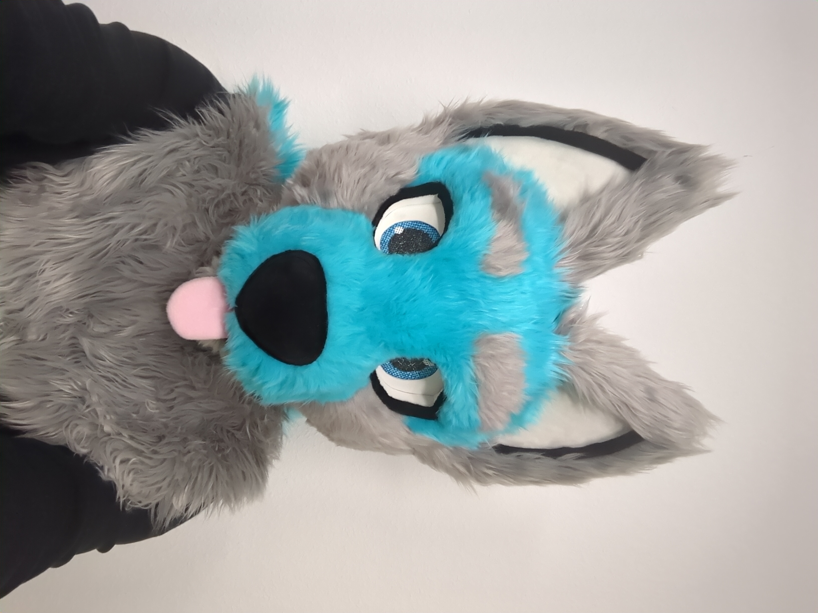 My Fursuit Head